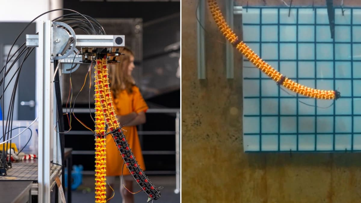 Robot Lengan Lunak Inovatif Ubah Cara Inspeksi Infrastruktur Lepas Pantai