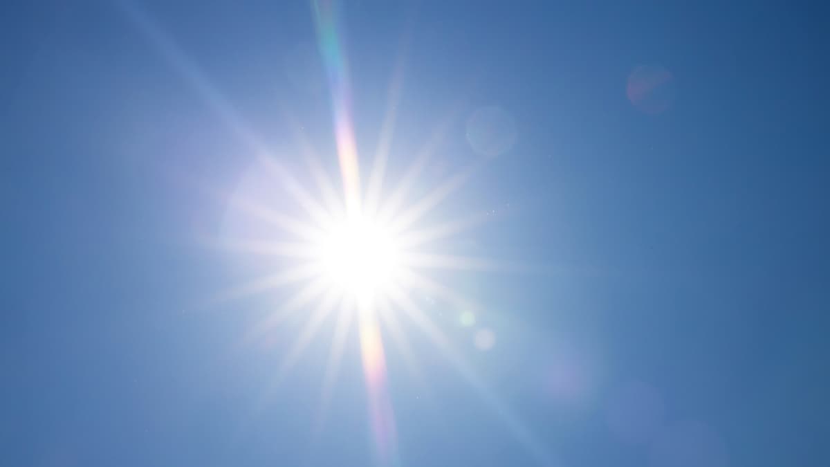 Cara Baru Tangkap Karbon Pakai Sinar Matahari dari Tim Harvard