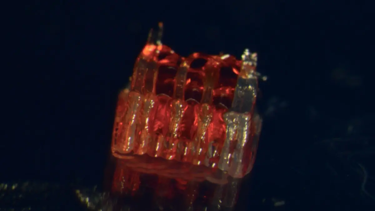 Inovasi 3D Printing dan Sel Punca untuk Memulihkan Cedera Tulang Belakang