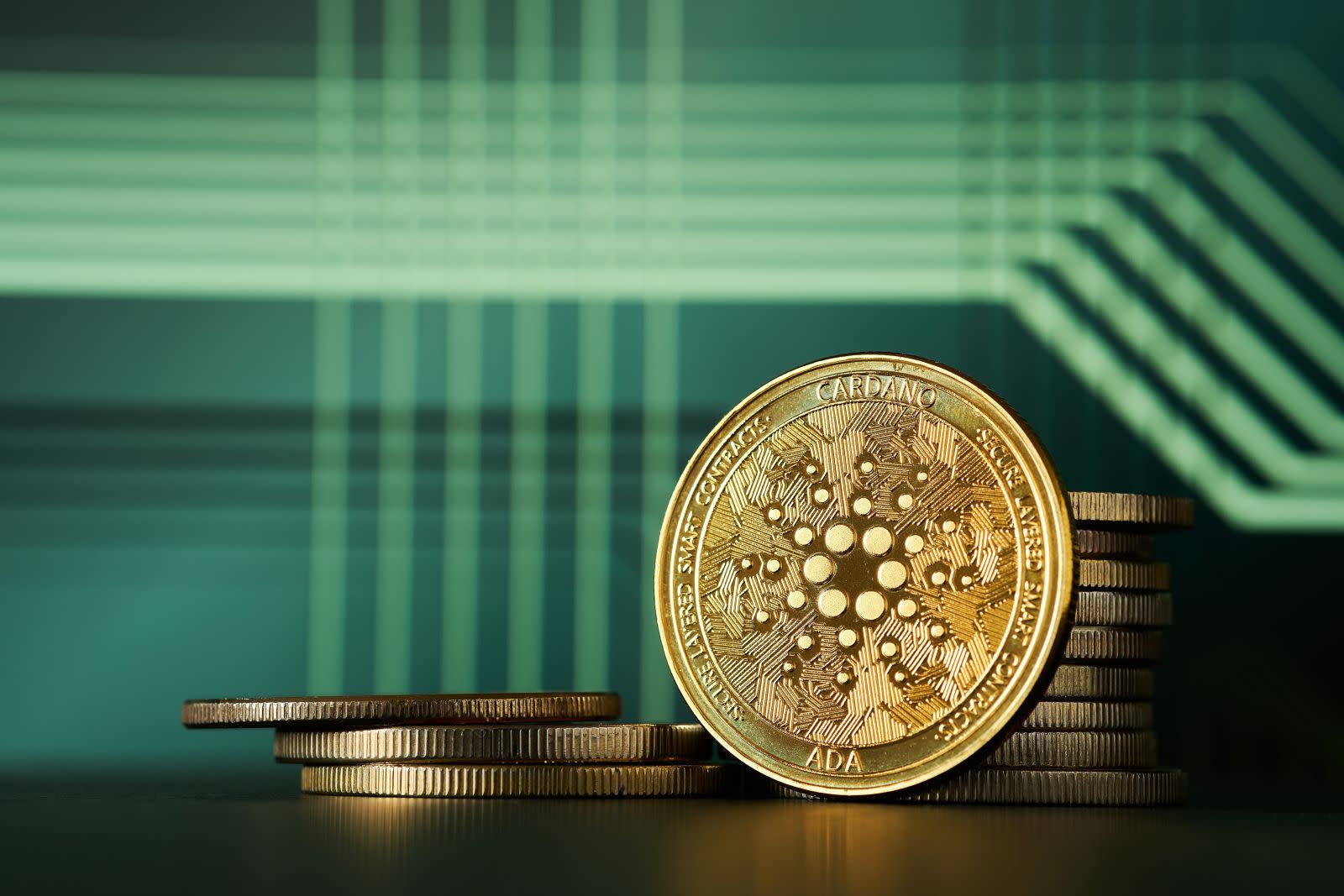 CleanCore dan Taruhan Besar pada Dogecoin: Peluang atau Risiko Tinggi?