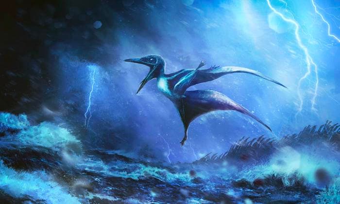 Fosil Bayi Pterosaurus dari Badai 150 Juta Tahun Lalu Pecahkan Misteri Fosil Langka