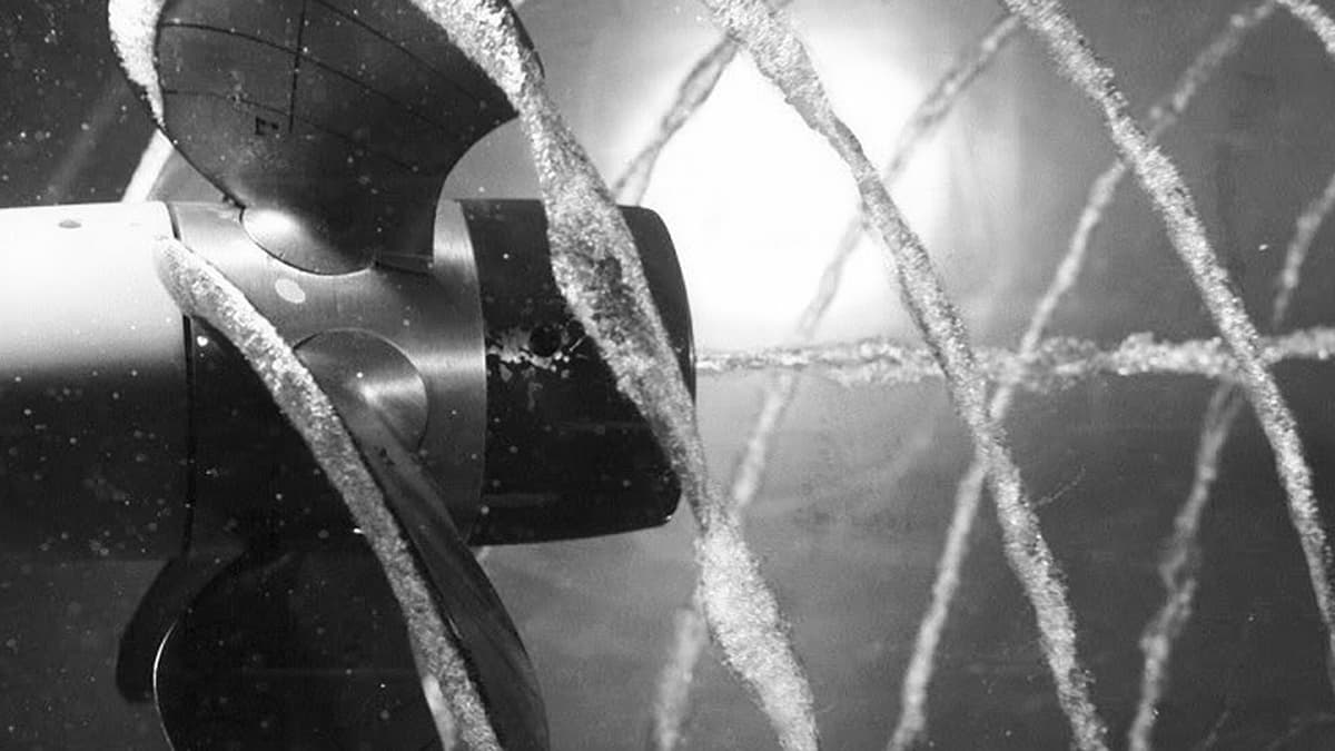 Teknologi Ledakan Gelembung: Masa Depan Obat Tanpa Jarum dan Robot Mikro Canggih