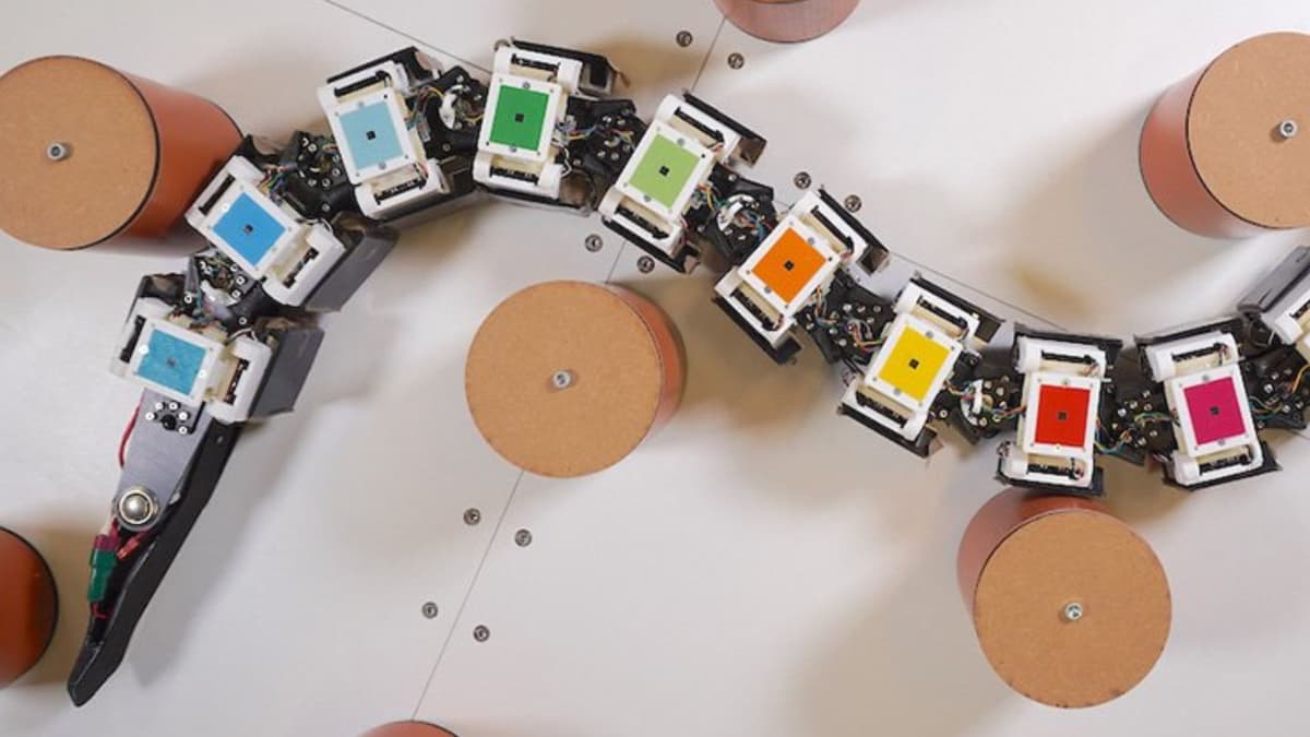 Rahasia Belut Bergerak Pasca Cedera Ungkap Robot Adaptif Masa Depan