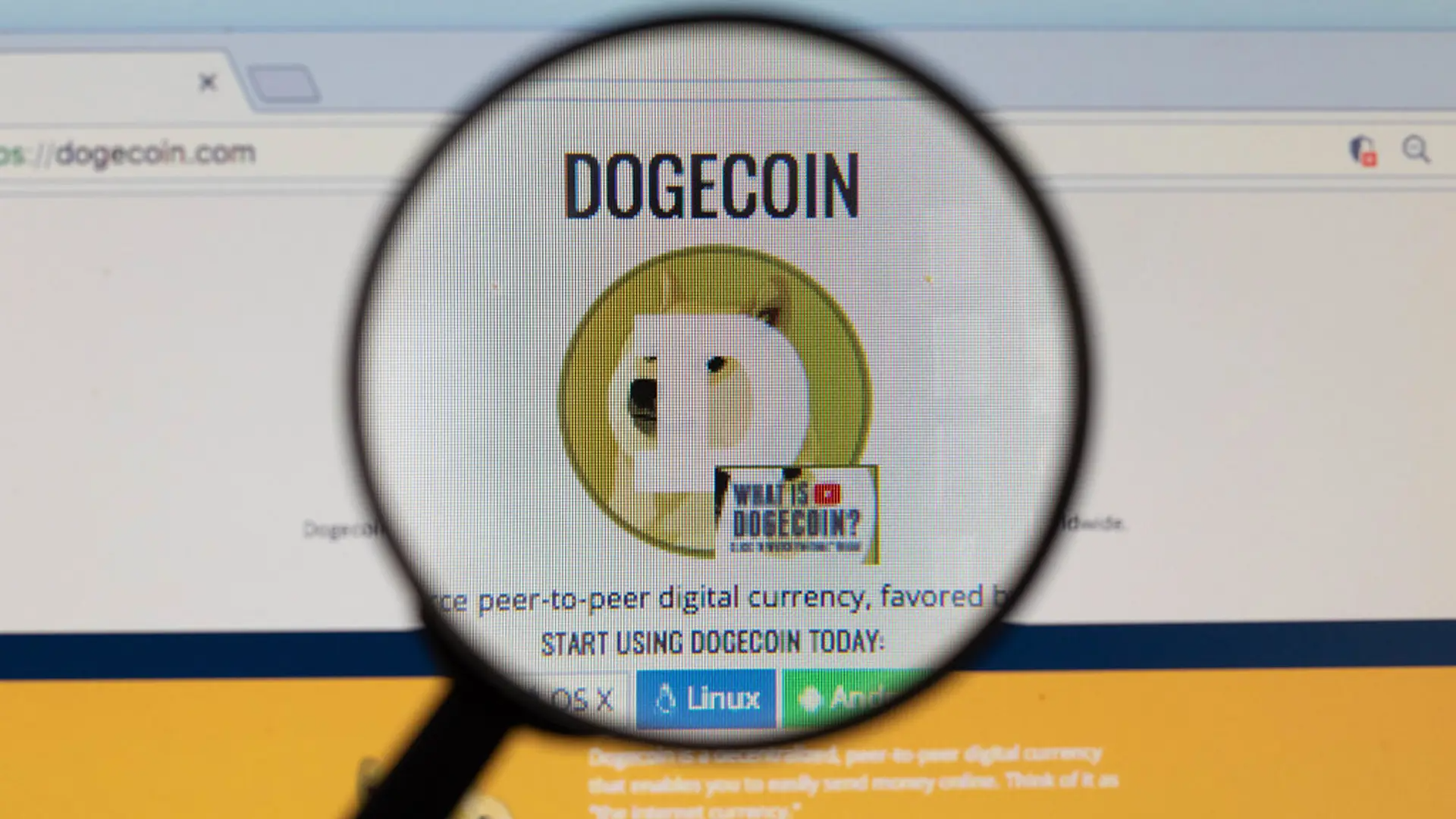 ETF Dogecoin Pertama di AS Segera Diluncurkan, Gebrak Pasar Crypto!