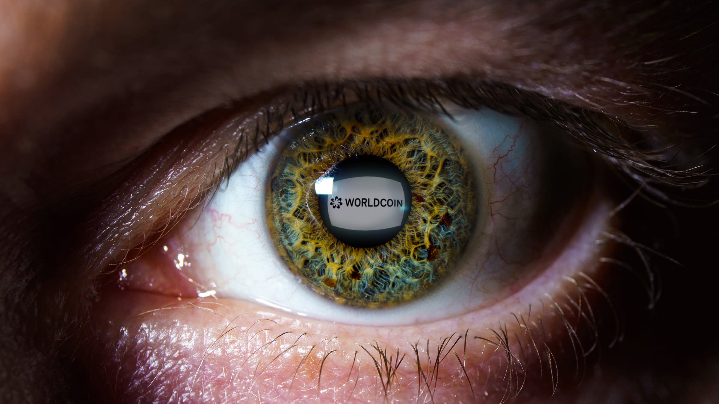 Saham Delapan Ribu Persen Naik Usai Investasi Besar Pada Proyek Identitas Digital Worldcoin