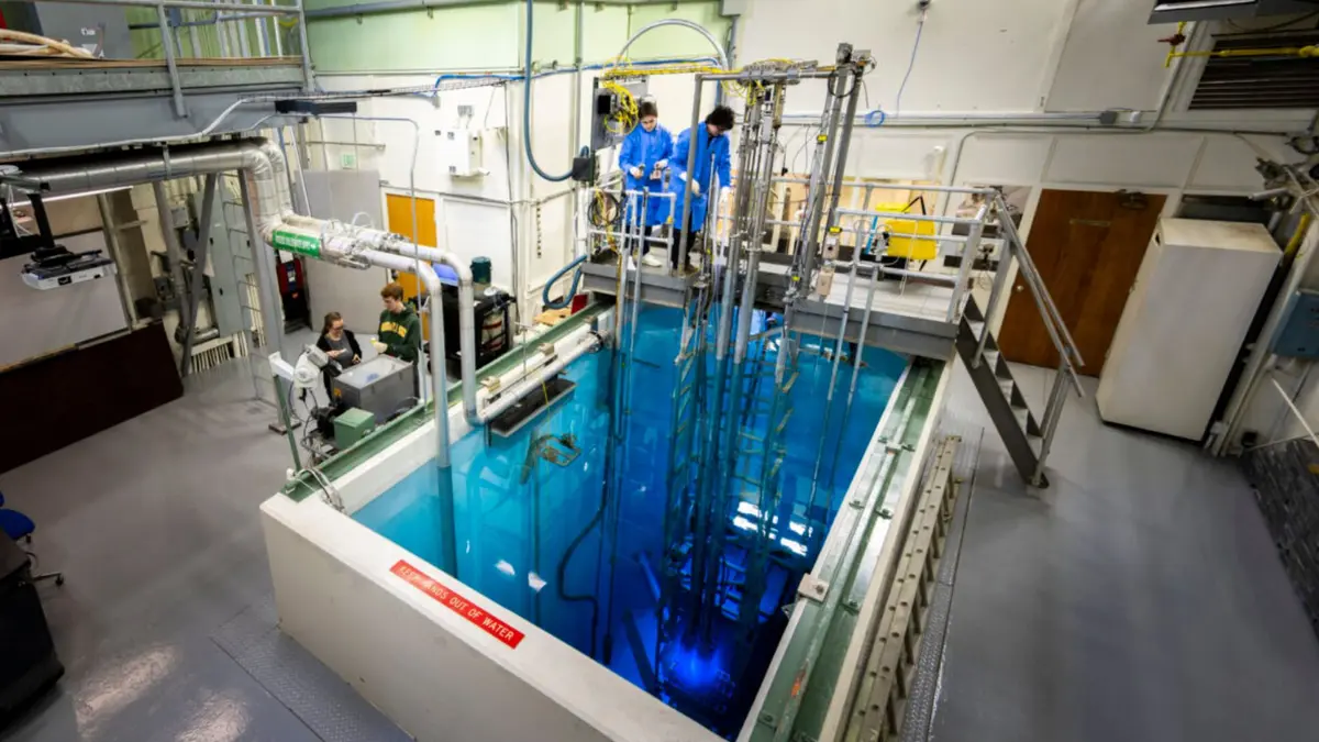 Studi Kinerja Bahan Bakar HALEU untuk Reaktor Modular Kecil dan Mikro