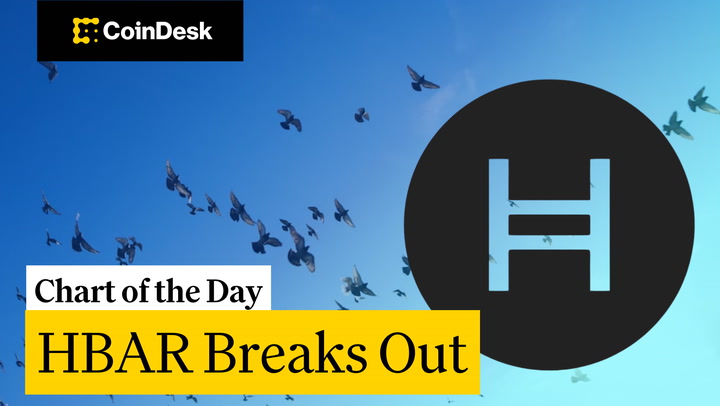 HBAR Hedera Melonjak Tinggi: Analisis dan Prospek Investasi Terbaru