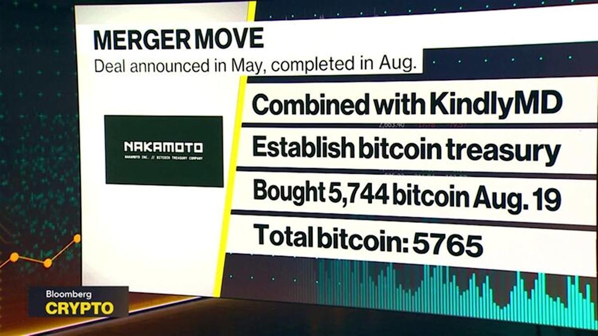 David Bailey Dorong Integrasi Pasar Global dengan Akses Bitcoin Lebih Luas