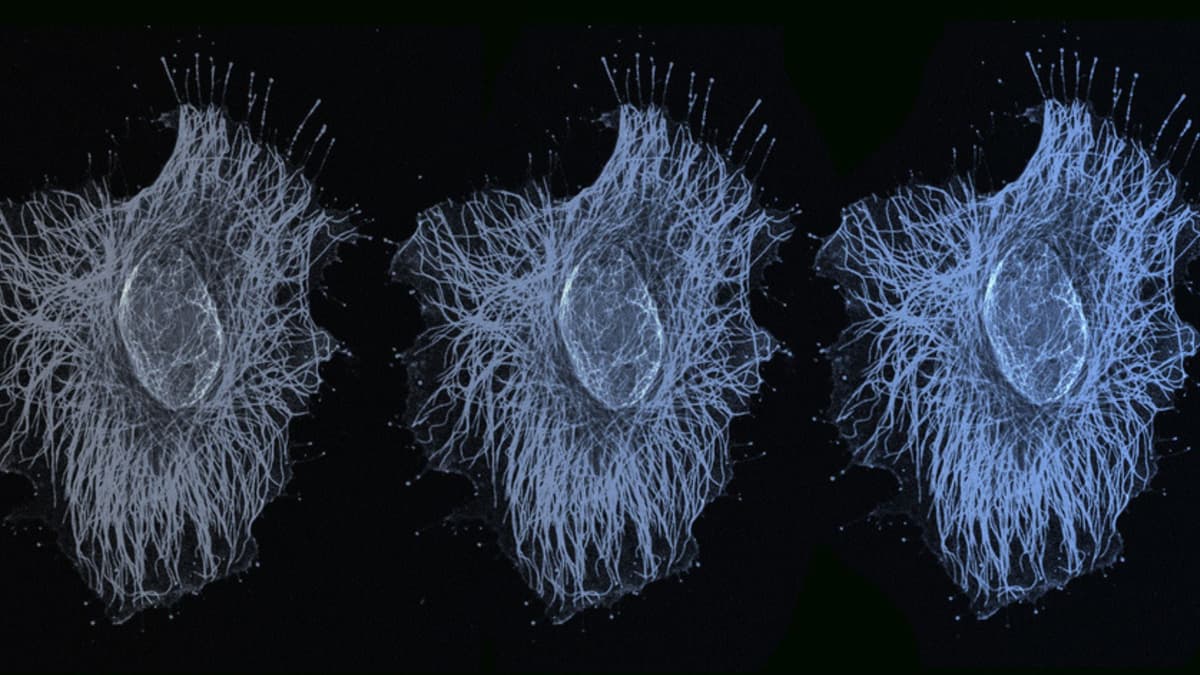 Penemuan Baru: Sel Mengunci Gen dalam Berbagai Tingkat Ekspresi, Bukan Hanya On/Off