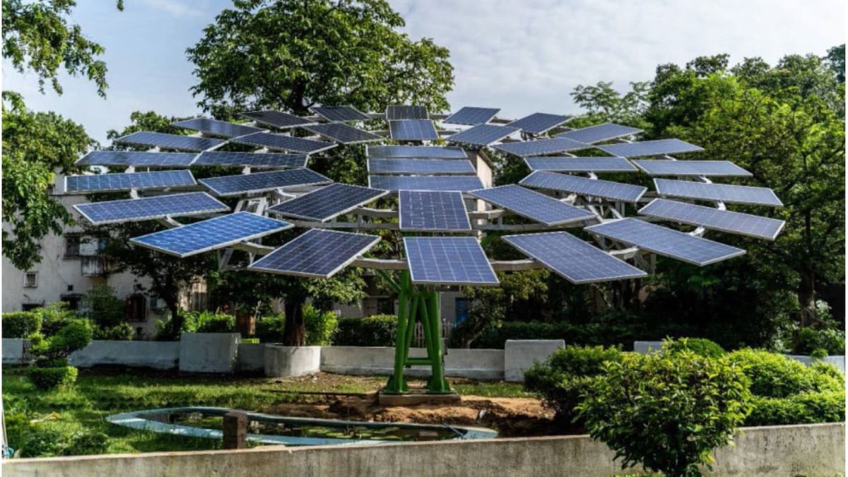 Solar Trees: Inovasi Hemat Lahan untuk Listrik Terbarukan dan Pelestarian Hutan