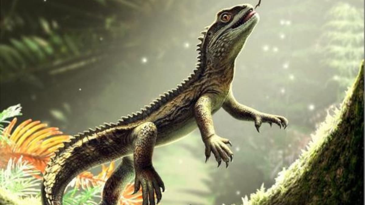 Fosil Kadalu Tertua dari Inggris Ubah Pandangan Evolusi Reptil