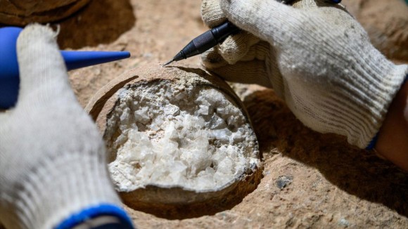 Penentuan Usia Langsung Telur Dinosaurus Berusia 85,9 Juta Tahun di Cina