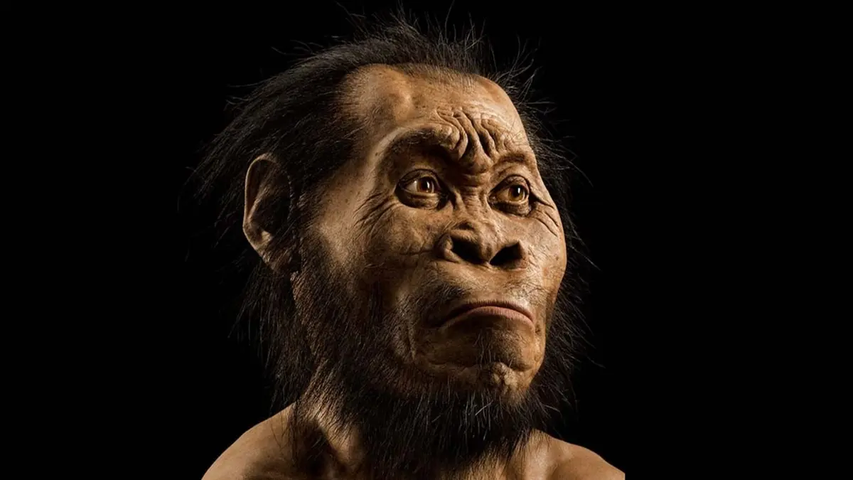 Bukti Baru: Homo Naledi Mungkin Telah Melakukan Penguburan 300 Ribu Tahun Lalu