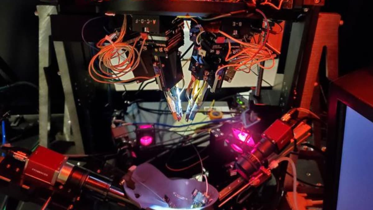 Bagaimana Otak Kita Menciptakan Ilusi Visual Melalui Neuron Khusus