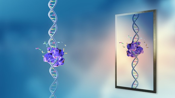 Diskusi Global Soal Risiko dan Manfaat Sel Hidup Berwujud Cermin