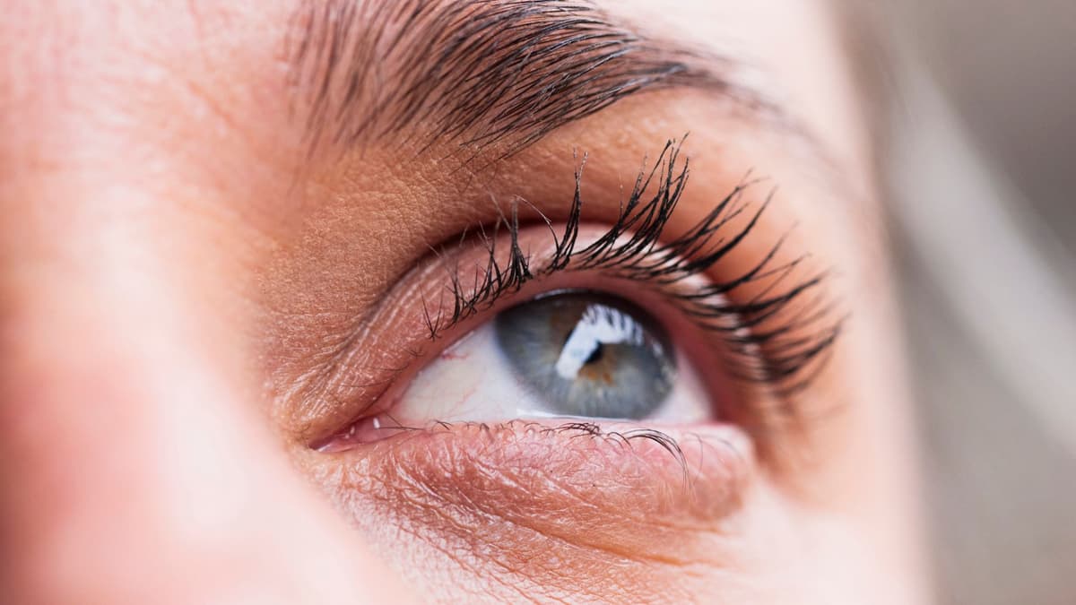 Menguji Memori Lewat Gerakan Mata: Cara Baru dan Mudah Memahami Ingatan