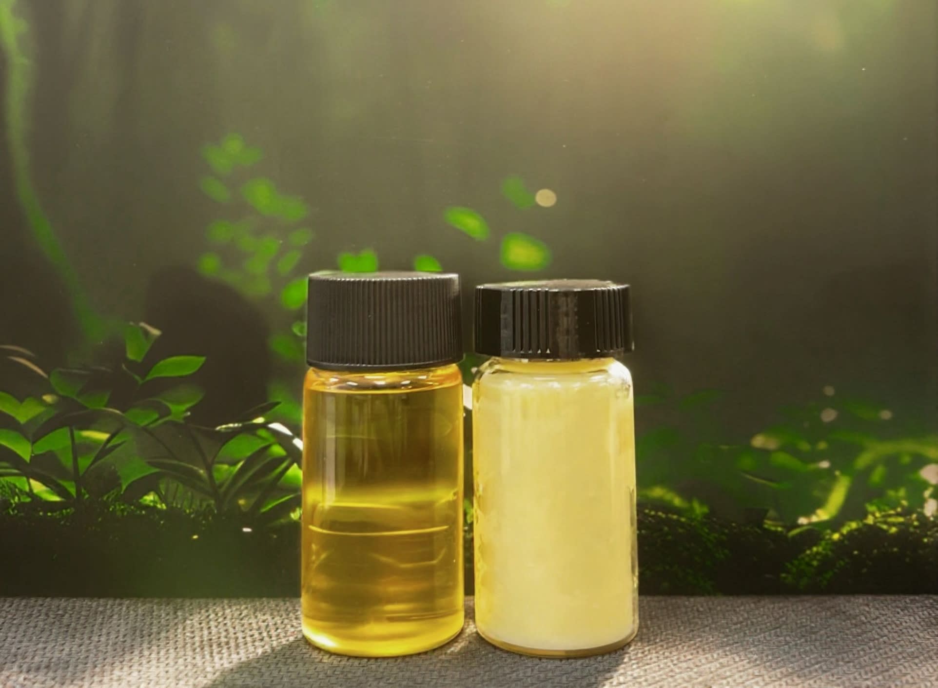 Terra Oleo: Revolusi Minyak Berkelanjutan dari Limbah Pertanian oleh Generasi Muda