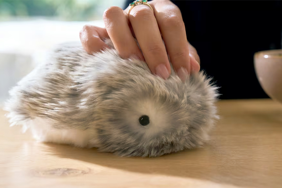 Casio Perluas Pasar Moflin, Robot Peliharaan Imut dengan Harga Tinggi