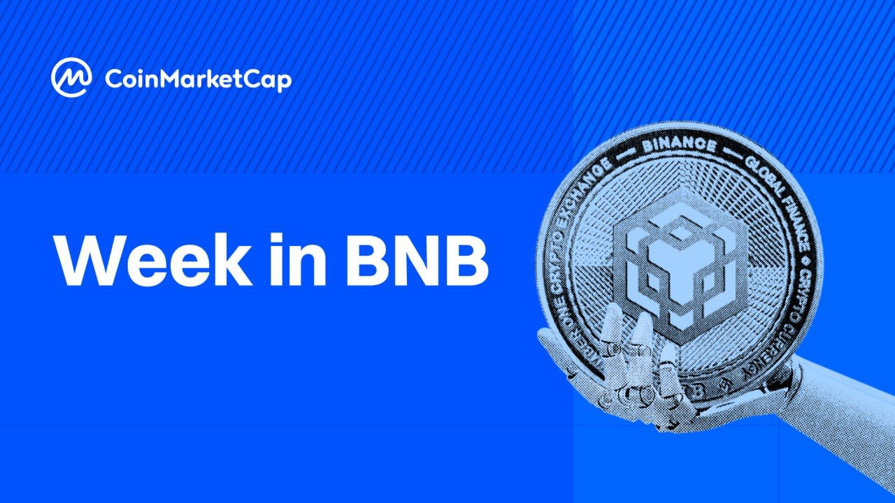 BNB Chain Tembus Rekor Harga, Sektor Kripto Tumbuh Pesat Pekan Ini