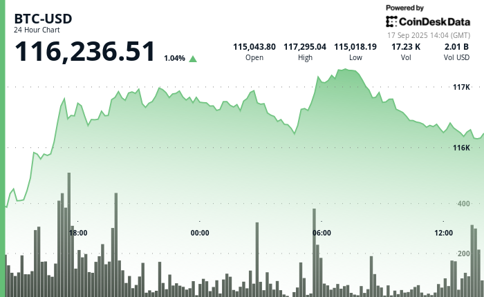 Bitcoin Konsolidasi Menjelang Pengumuman FED, Peluang Reli September Terbuka