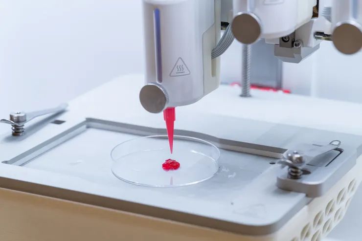 Teknologi 3D Bioprinting Swedia Ciptakan Kulit Hidup dengan Pembuluh Darah