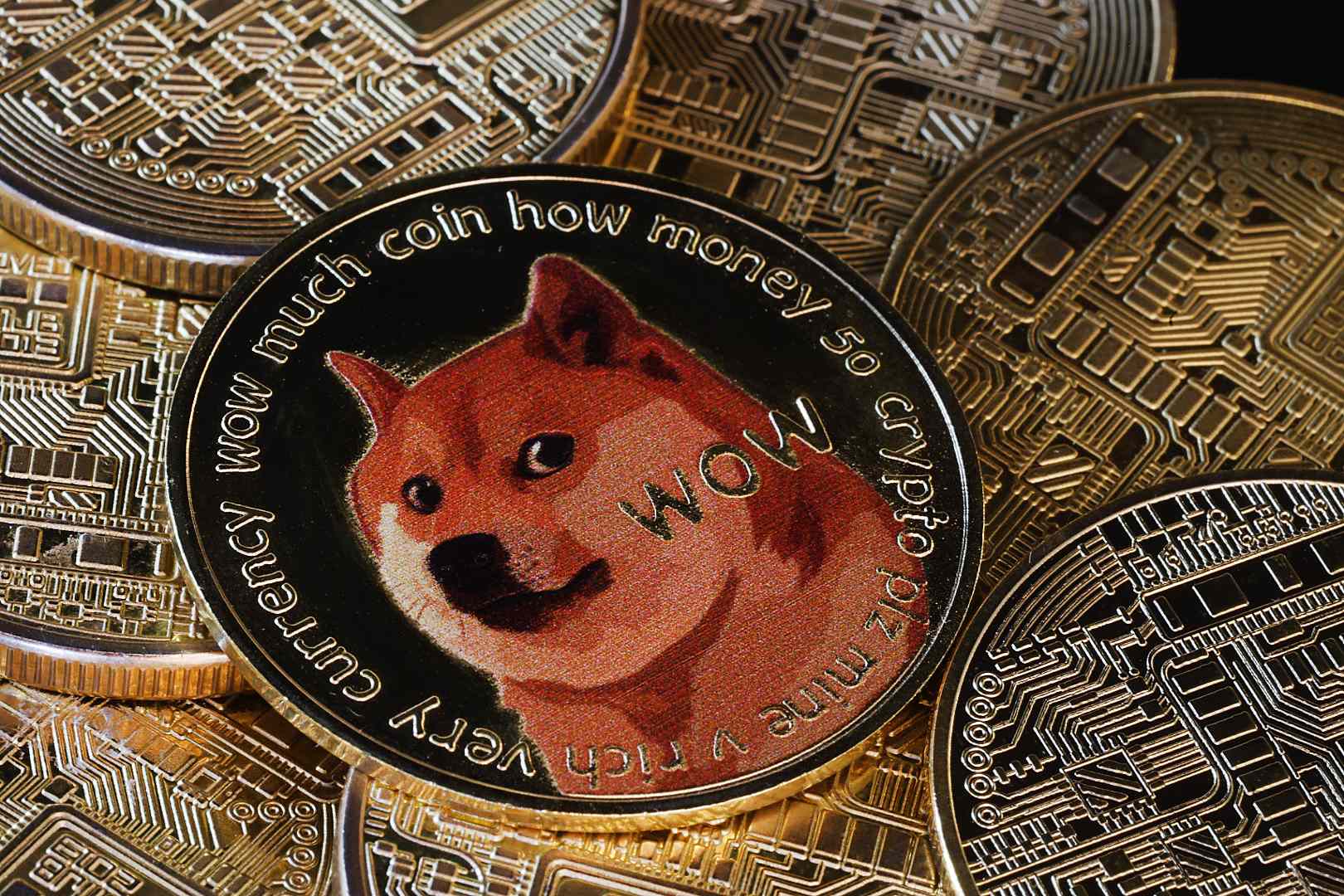 ETF Dogecoin Pertama Diluncurkan, Seriuskan Mata Uang Digital Berawal dari Guyonan