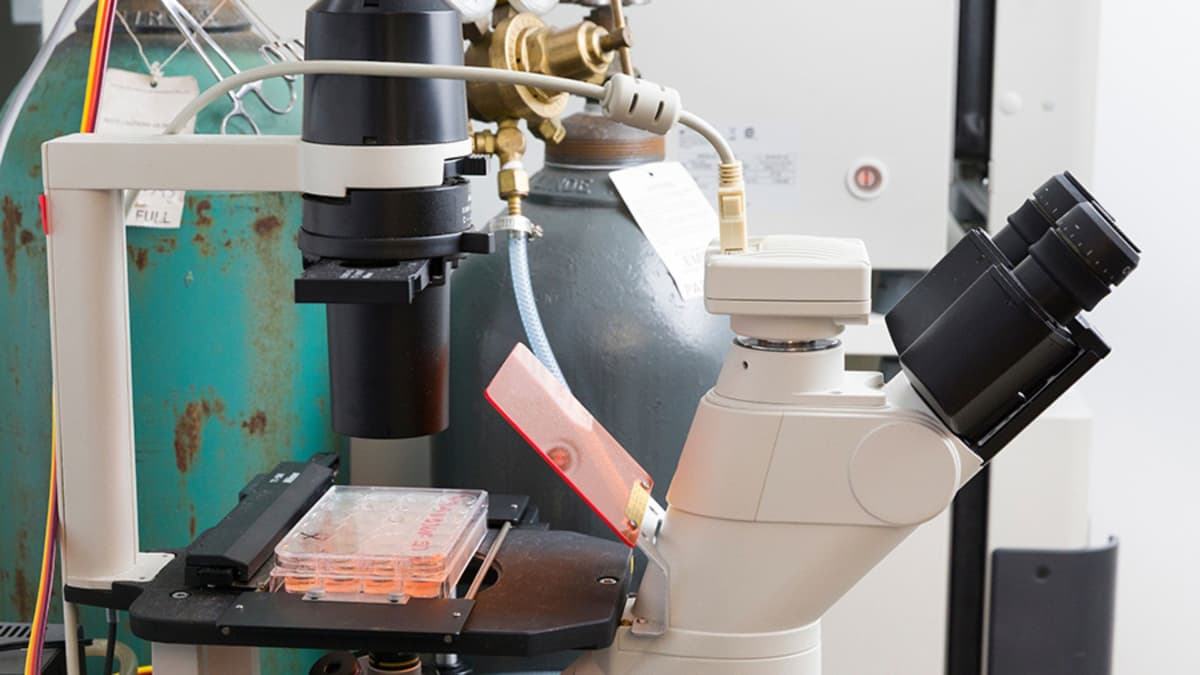 Terobosan Bioreaktor Tingkatkan Produksi Vesikel Penyembuh dalam Skala Besar