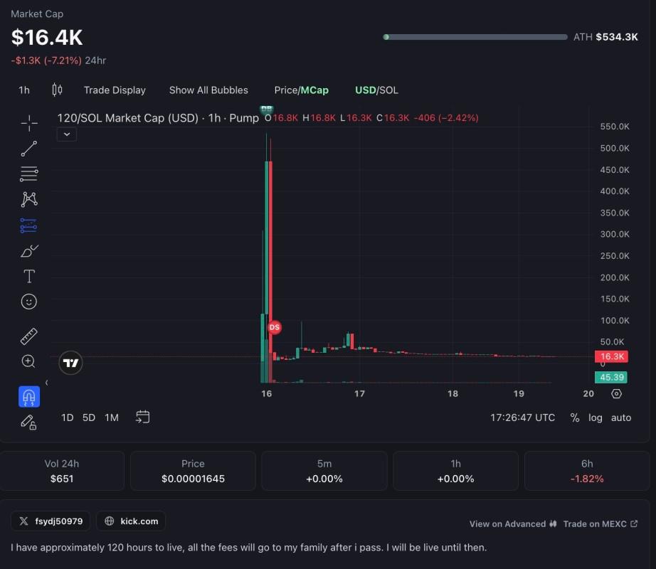 Meme Coin 120 Hours di Pump.fun: Kisah Rug Pull dan Peringatan untuk Investor