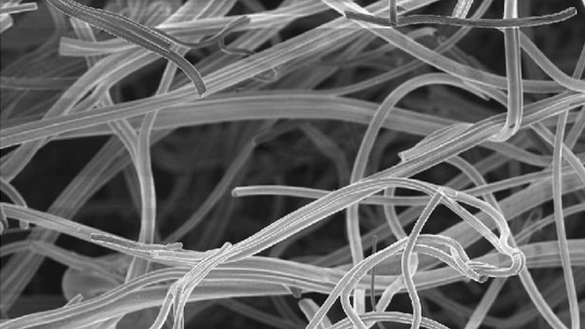 Serat Keramik Baru Tingkatkan Daya Generator Nano untuk Sensor Jaringan Listrik