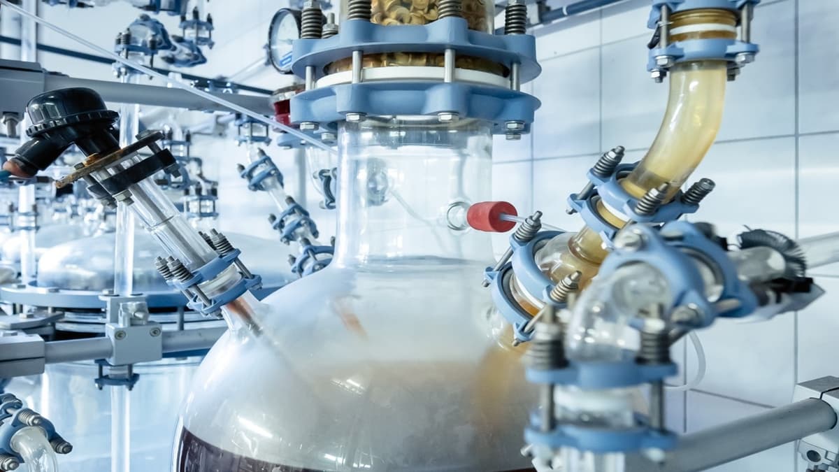 Startup Jerman Ciptakan Jamur Hitam untuk Ubah Limbah Jadi Bahan Ramah Lingkungan - image 1