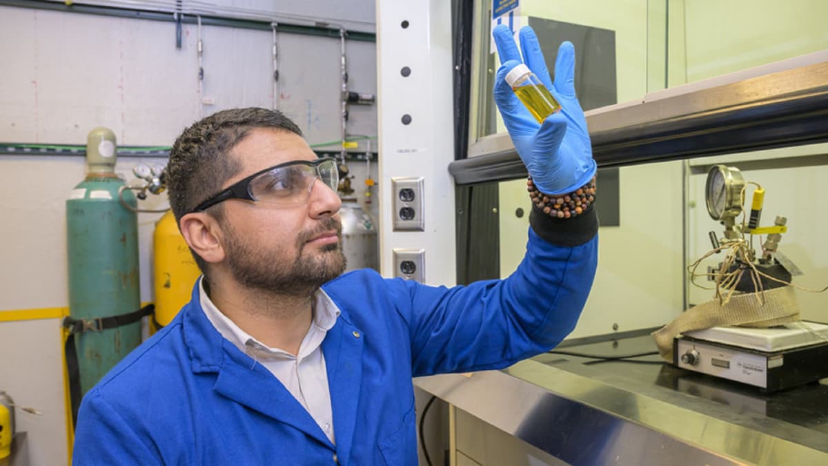 Katalis Inovatif Universitas Delaware Ubah Plastik Jadi Bahan Bakar Cair Lebih Cepat - image 1