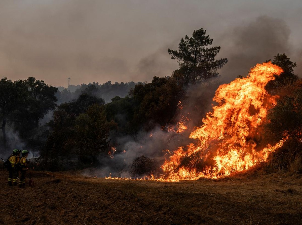 10 Ancaman Serius yang Bisa Jadi Tanda Kiamat Menurut Para Ahli - image 1