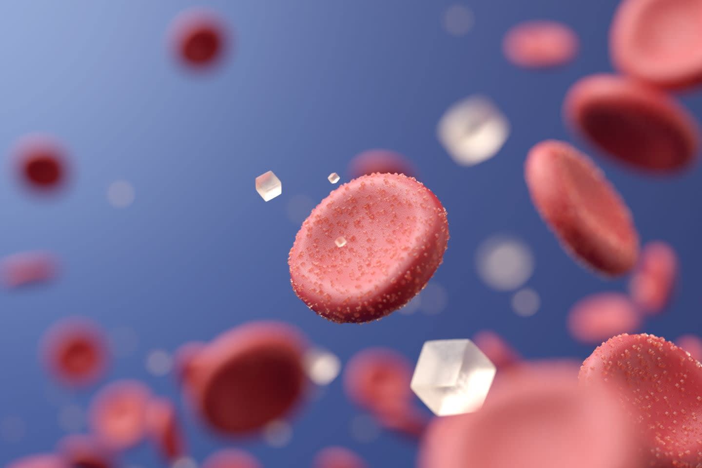 Glooko Akuisisi Monarch untuk Perluas Manajemen Diabetes dari Rumah Sakit ke Rumah - image 1