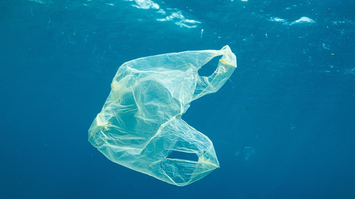 Limbah Plastik Kantong Jadi Sensor Nano Deteksi Logam Beracun di Air