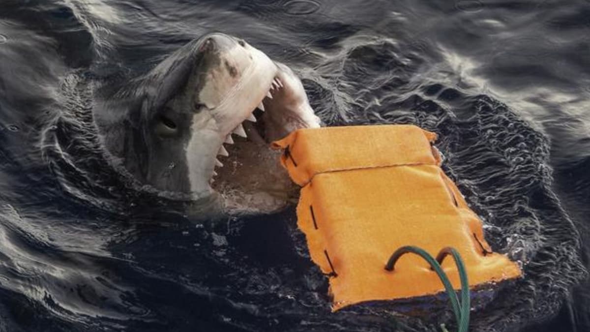 Bahan Wetsuit Baru Bisa Kurangi Cedera Gigitan Hiu Pada Peselancar