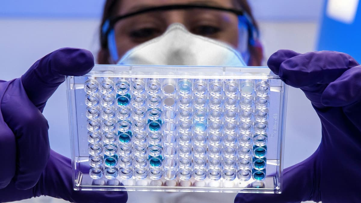 Terobosan Terapi Fag Presisi Lawan Bakteri Resisten di Rumah Sakit