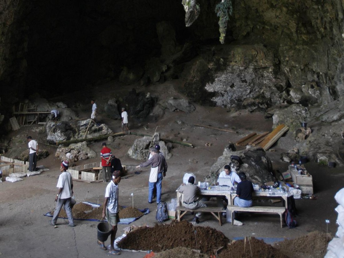 Mengungkap Rahasia Tubuh Kecil Homo floresiensis: Adaptasi dan Kecerdasan