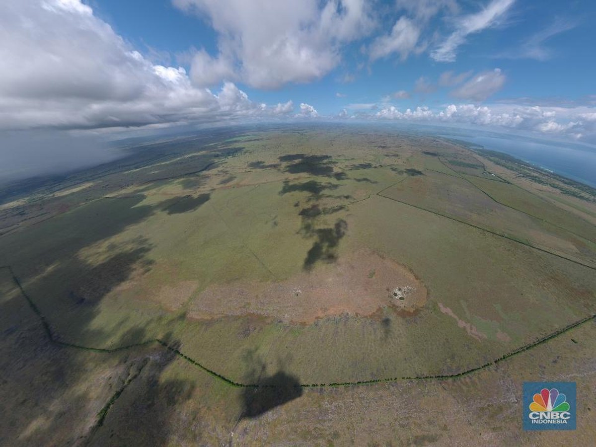 Sumba: Pulau Dunia yang Hilang dengan Hewan Purba yang Menakjubkan