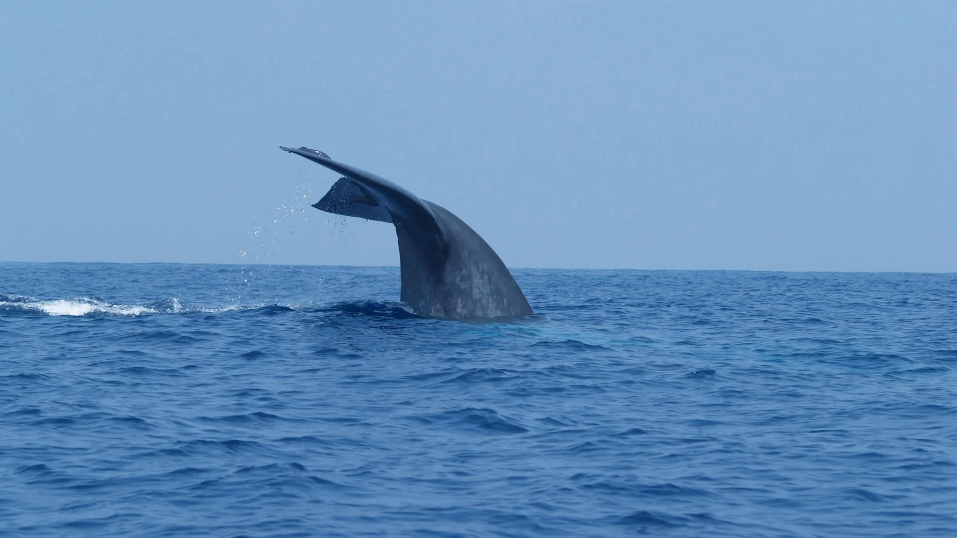 Transfer 200 Juta USDT ke Binance Bisa Picu Lompatan Harga Bitcoin