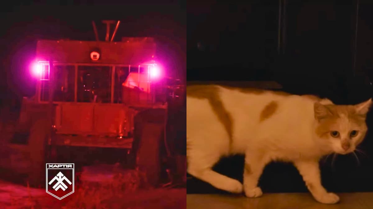Pasukan Ukraina Evakuasi Kucing dengan Robot dari Garis Depan Kharkiv