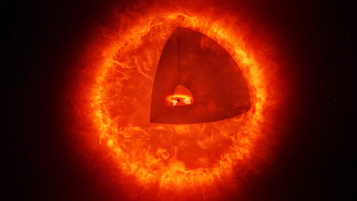 James Webb Temukan 'Black Hole Star' Baru di Alam Semesta Awal