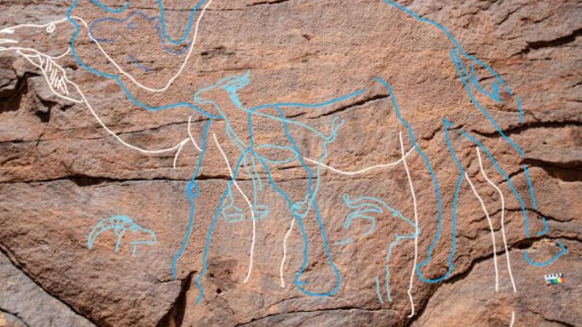 Seni Batu Unta 12.000 Tahun Ungkap Rahasia Manusia Purba Gurun Nefud