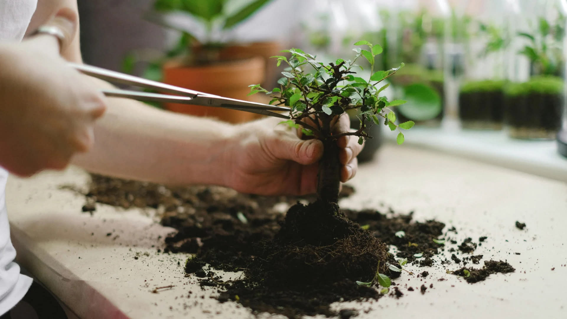 Peluang Triliunan Dolar Fintech dari Integrasi DeFi Menurut Pendiri Aave