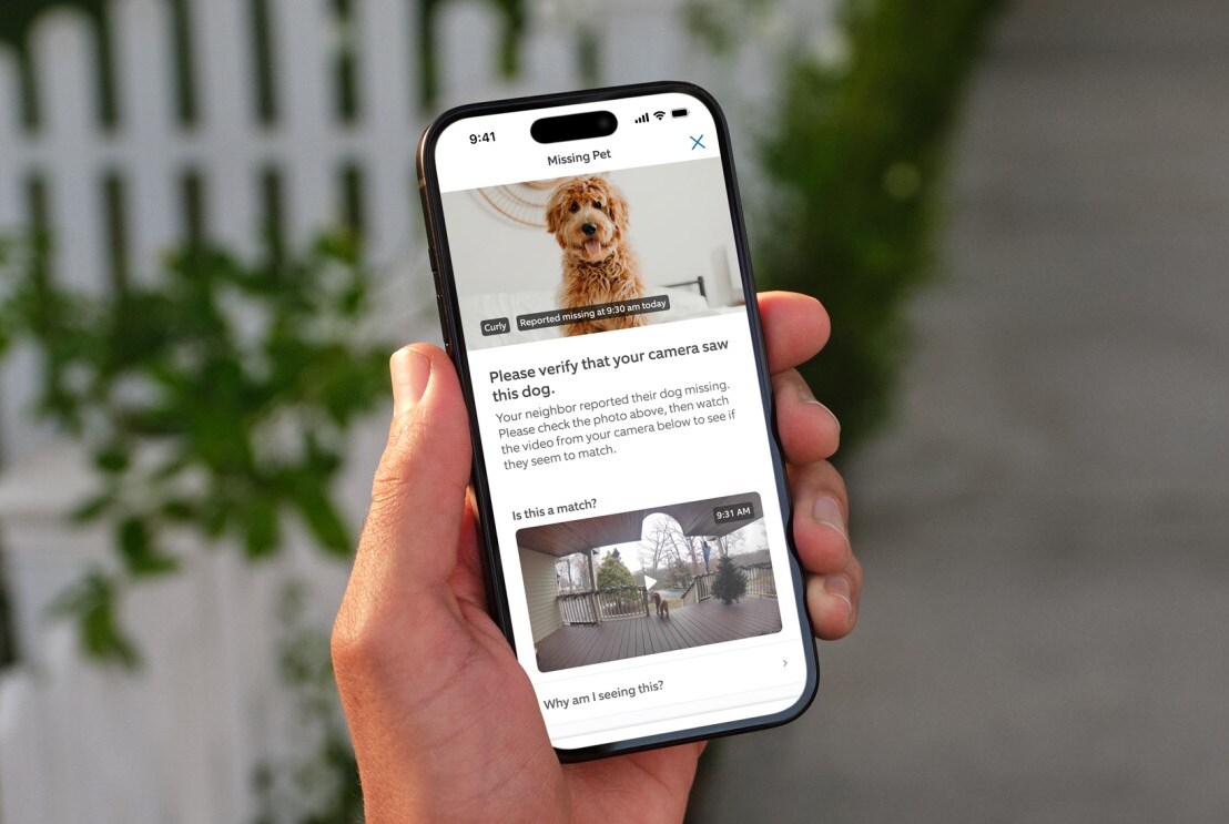 Fitur AI Ring Mencari Anjing Hilang Aktif Default, Pengguna Perlu Persetujuan