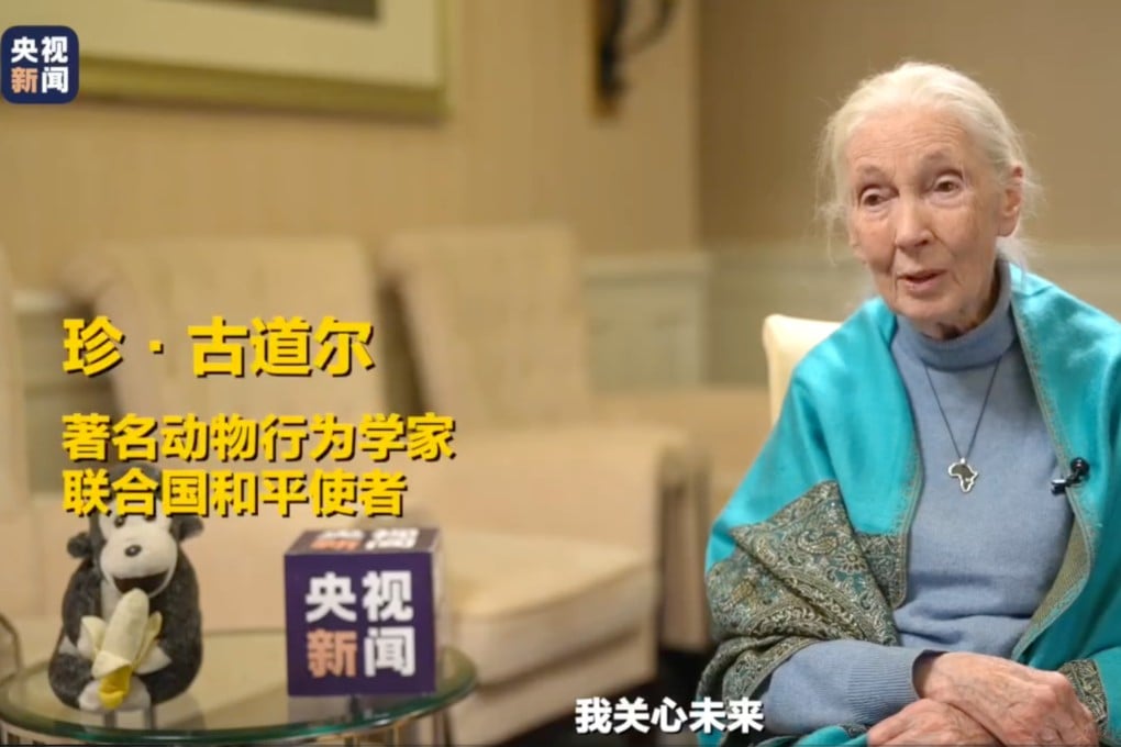 Jane Goodall: Legenda Konservasi yang Terinspirasi Generasi Muda di China