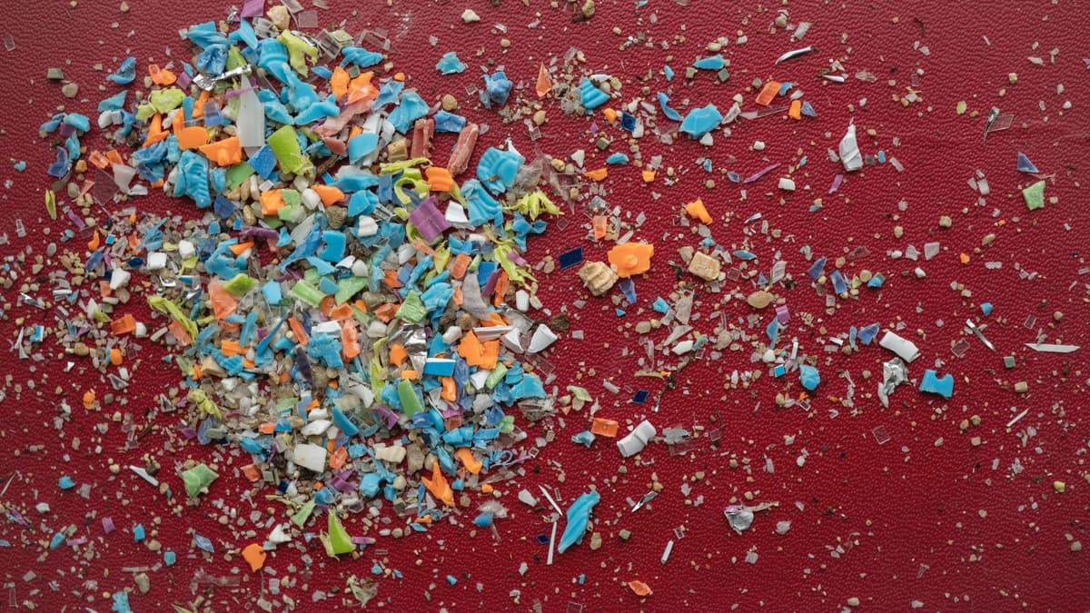 Dampak Mikroplastik pada Mikrobioma Usus dan Risiko Penyakit Serius Manusia