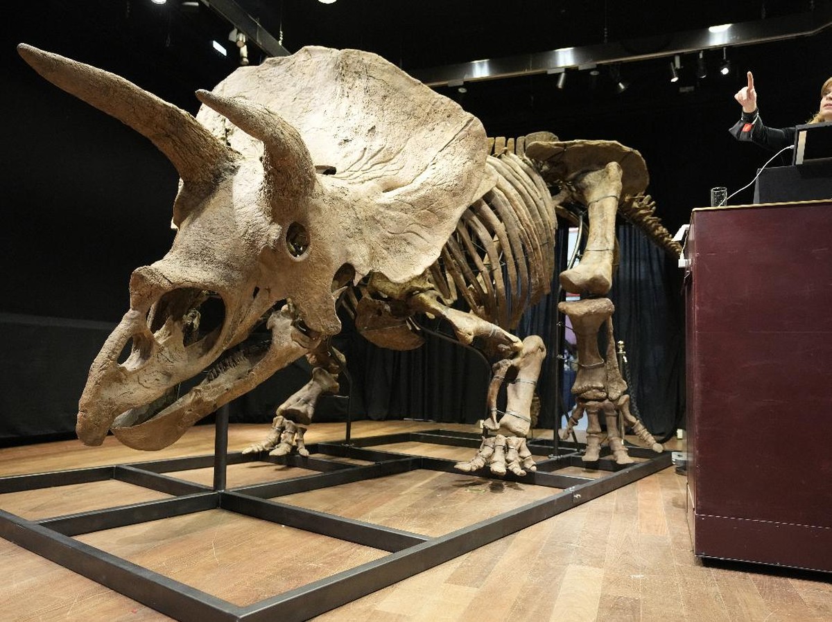 Metode Baru Penentuan Usia Telur Dinosaurus dari Qinglongshan China