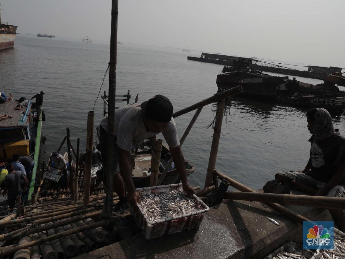 BMKG Prediksi La Nina dan Musim Hujan Lebih Panjang di Indonesia 2025/2026