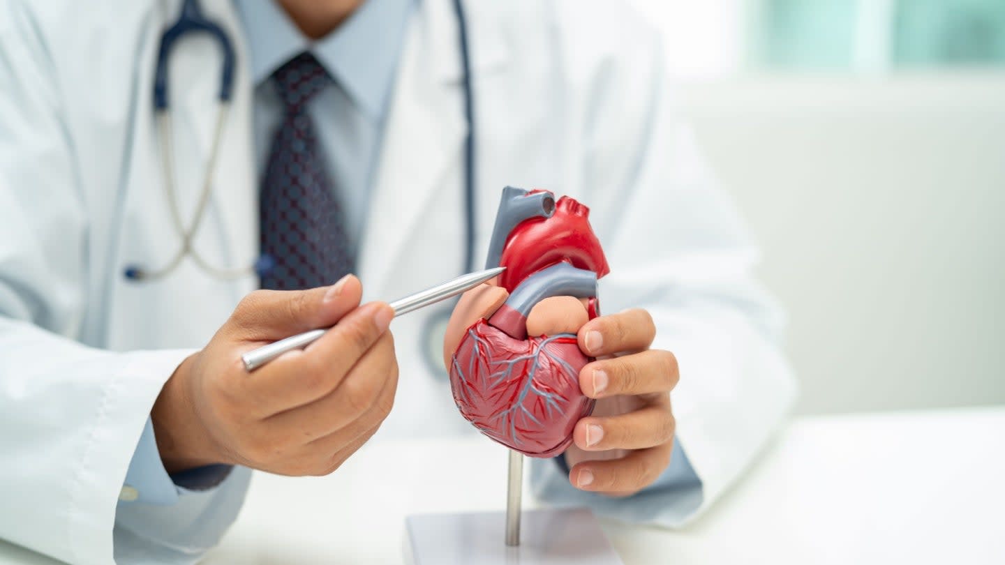 NanoPhoria Raih Pendanaan €83,5 Juta untuk Obat Gagal Jantung Inovatif