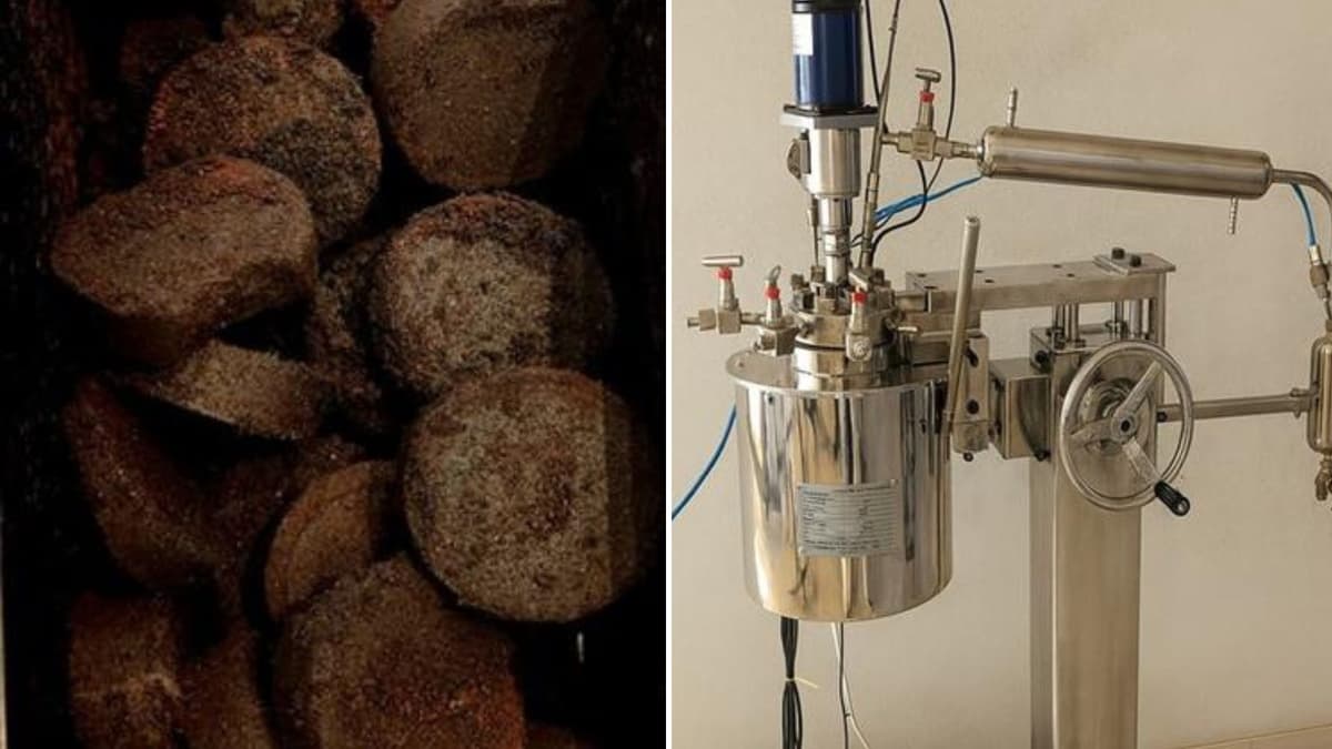 Teknologi Baru UEA Ubah Sampah Plastik dan Kopi Jadi Penangkap Karbon Efektif